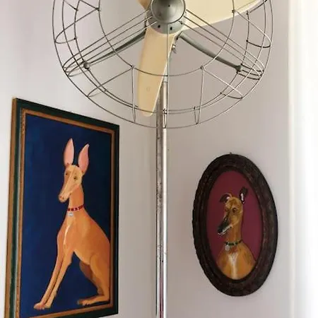 Loft Tra Le Stelle E I Pesci. Παλέρμο